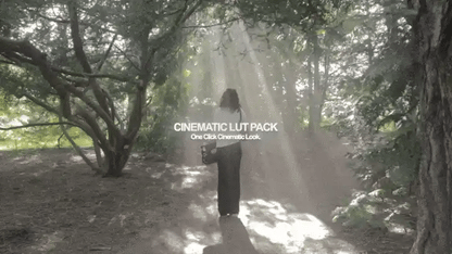 Cinematic Looks LUTs
